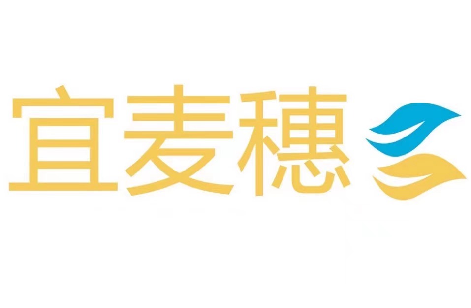 宜麦穗财税-宜宾本地企业服务